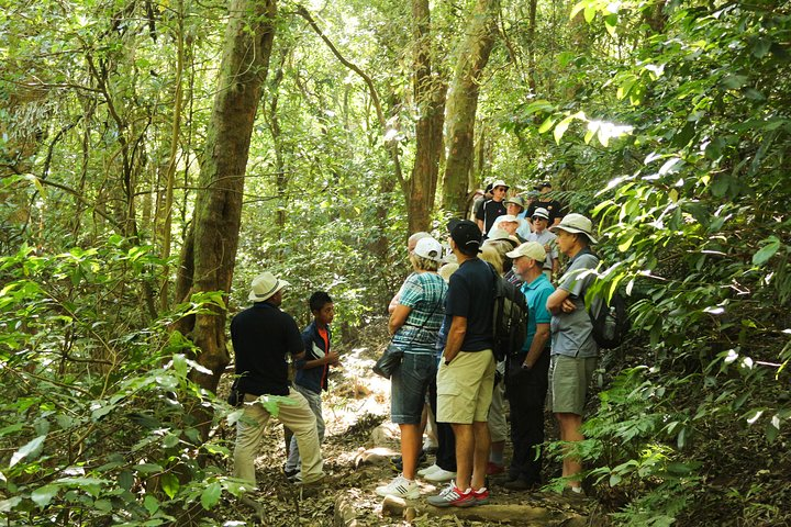 Cerro Verde